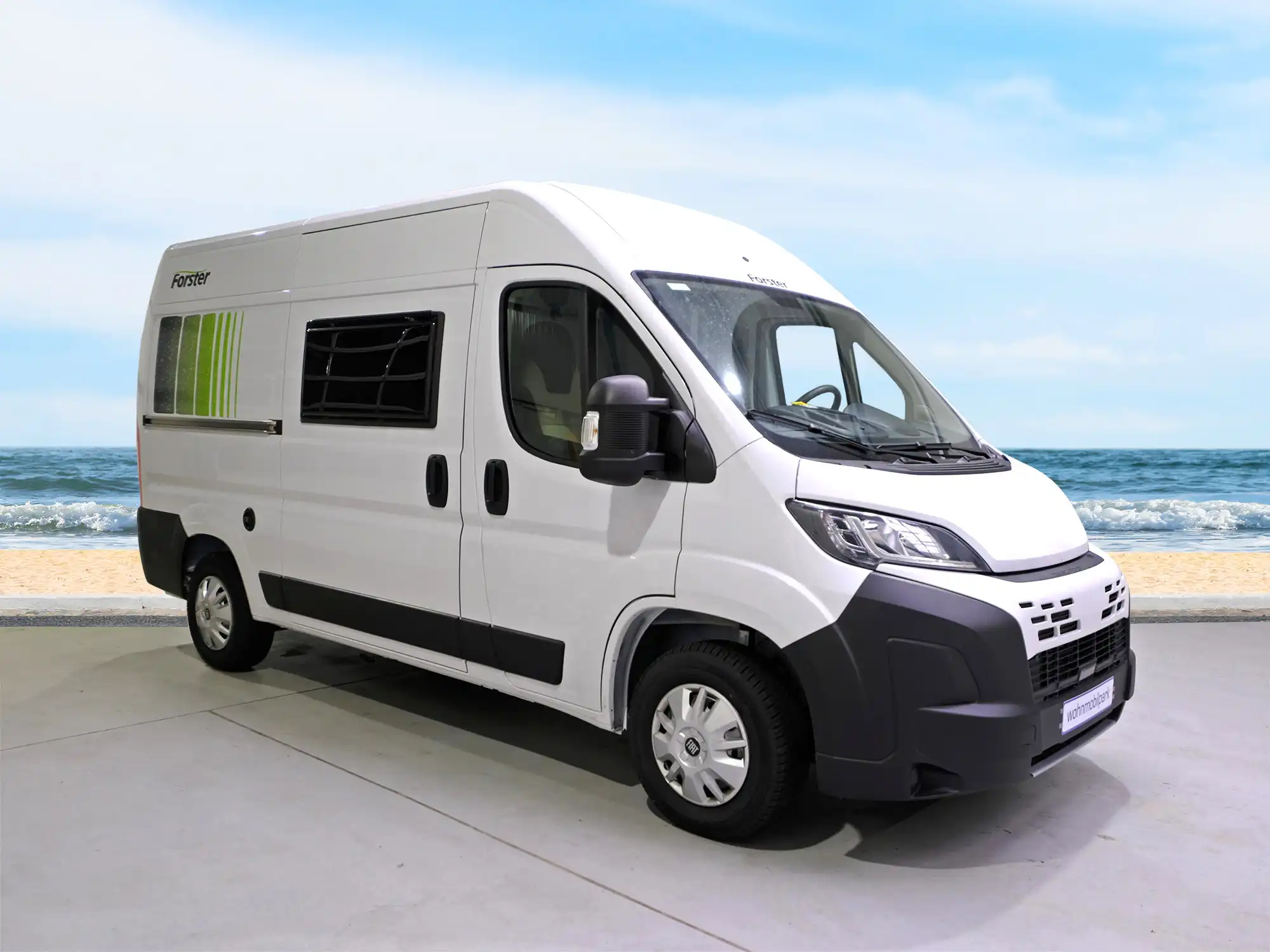 FORSTER V 541 Youngster